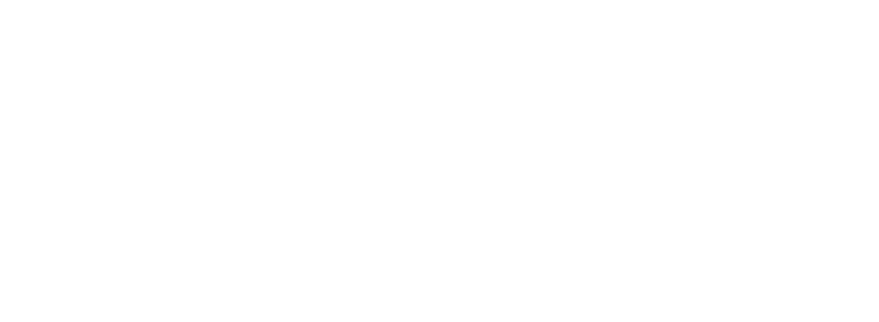 DLR Institute of Software Technology